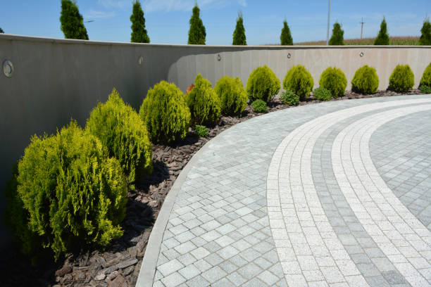 Best Brick Driveway Pavers  in Blythe, CA